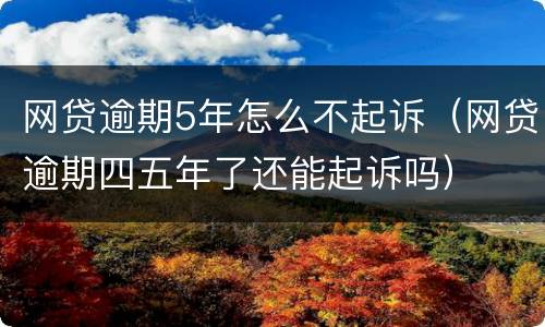 网贷逾期5年怎么不起诉（网贷逾期四五年了还能起诉吗）