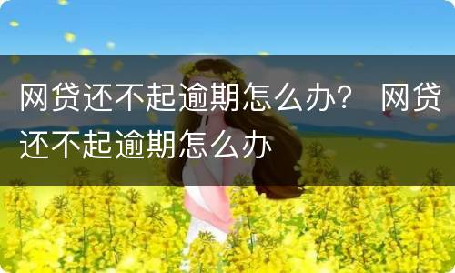 网贷还不起逾期怎么办？ 网贷还不起逾期怎么办