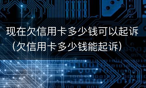 现在欠信用卡多少钱可以起诉（欠信用卡多少钱能起诉）