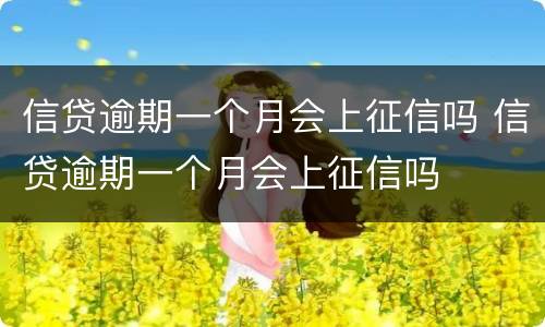 信贷逾期一个月会上征信吗 信贷逾期一个月会上征信吗