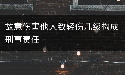 故意伤害他人致轻伤几级构成刑事责任
