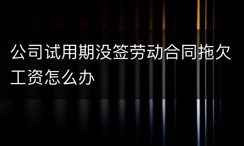 公司试用期没签劳动合同拖欠工资怎么办