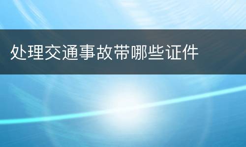 处理交通事故带哪些证件