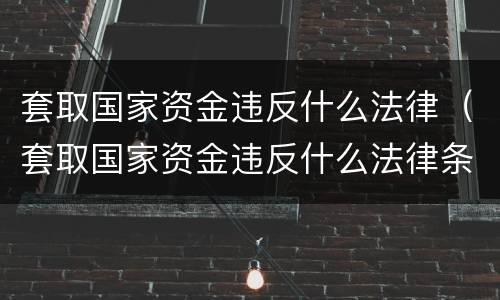 套取国家资金违反什么法律（套取国家资金违反什么法律条文）