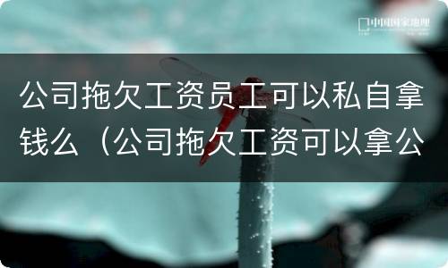 公司拖欠工资员工可以私自拿钱么（公司拖欠工资可以拿公司东西吗）
