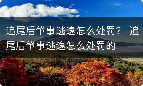 追尾后肇事逃逸怎么处罚？ 追尾后肇事逃逸怎么处罚的
