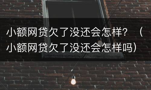 小额网贷欠了没还会怎样？（小额网贷欠了没还会怎样吗）