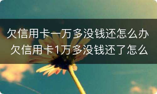 欠信用卡一万多没钱还怎么办 欠信用卡1万多没钱还了怎么办
