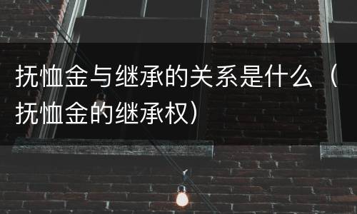 抚恤金与继承的关系是什么（抚恤金的继承权）
