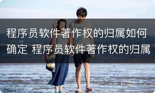 程序员软件著作权的归属如何确定 程序员软件著作权的归属如何确定出来
