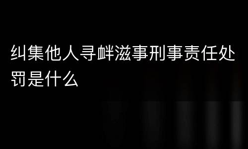 纠集他人寻衅滋事刑事责任处罚是什么