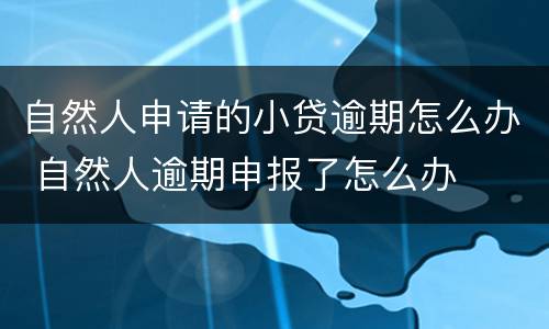 自然人申请的小贷逾期怎么办 自然人逾期申报了怎么办