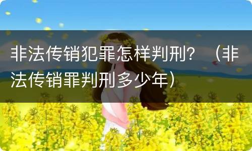 非法传销犯罪怎样判刑？（非法传销罪判刑多少年）