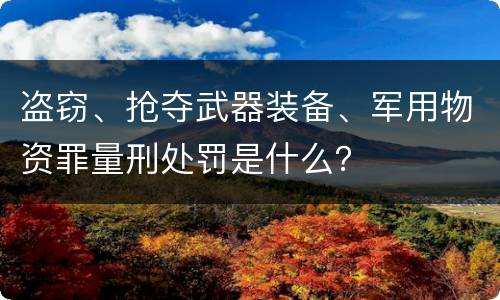 盗窃、抢夺武器装备、军用物资罪量刑处罚是什么？