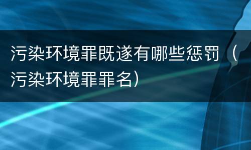 污染环境罪既遂有哪些惩罚（污染环境罪罪名）