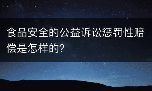 食品安全的公益诉讼惩罚性赔偿是怎样的？