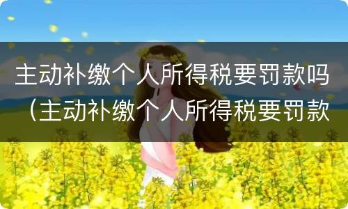 主动补缴个人所得税要罚款吗（主动补缴个人所得税要罚款吗多少钱）