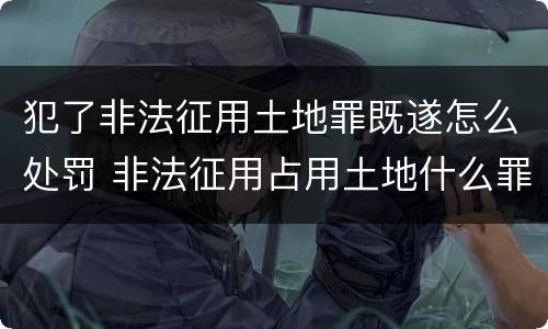 犯了非法征用土地罪既遂怎么处罚 非法征用占用土地什么罪