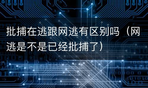 批捕在逃跟网逃有区别吗（网逃是不是已经批捕了）