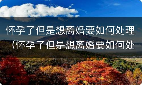怀孕了但是想离婚要如何处理（怀孕了但是想离婚要如何处理孩子）