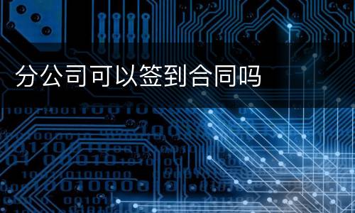 分公司可以签到合同吗