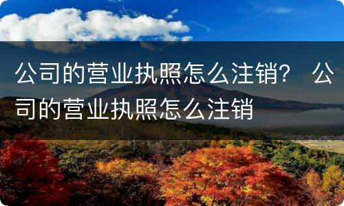 公司的营业执照怎么注销？ 公司的营业执照怎么注销