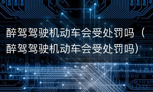 醉驾驾驶机动车会受处罚吗（醉驾驾驶机动车会受处罚吗）