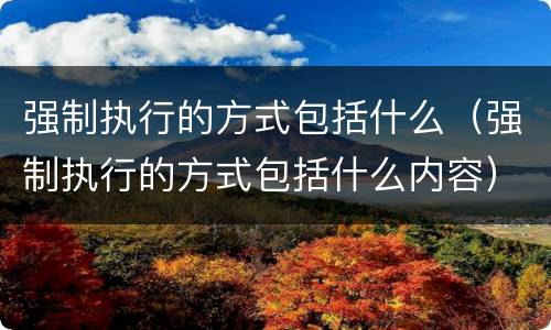 强制执行的方式包括什么（强制执行的方式包括什么内容）