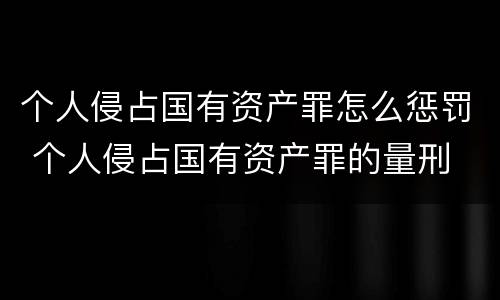 个人侵占国有资产罪怎么惩罚 个人侵占国有资产罪的量刑