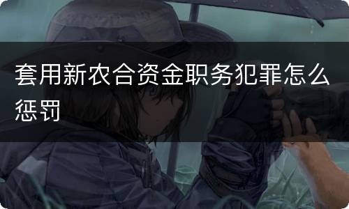 套用新农合资金职务犯罪怎么惩罚