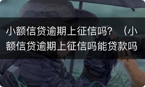 小额信贷逾期上征信吗？（小额信贷逾期上征信吗能贷款吗）
