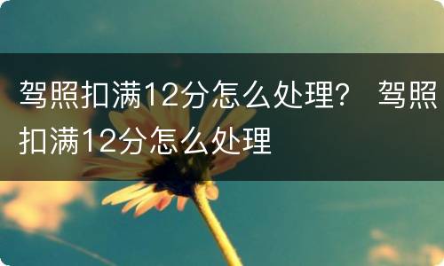 驾照扣满12分怎么处理？ 驾照扣满12分怎么处理