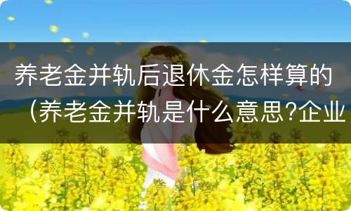 养老金并轨后退休金怎样算的（养老金并轨是什么意思?企业退休养老金并轨方案时间表）