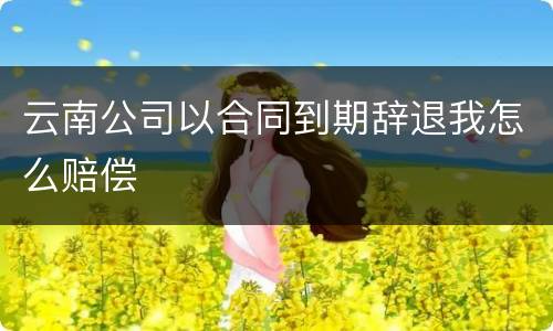 云南公司以合同到期辞退我怎么赔偿
