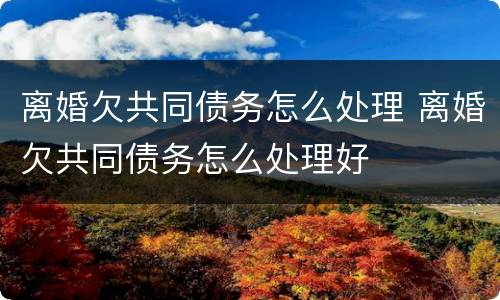 离婚欠共同债务怎么处理 离婚欠共同债务怎么处理好
