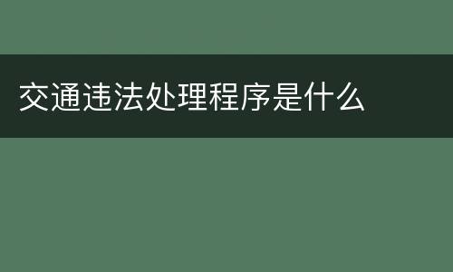 交通违法处理程序是什么