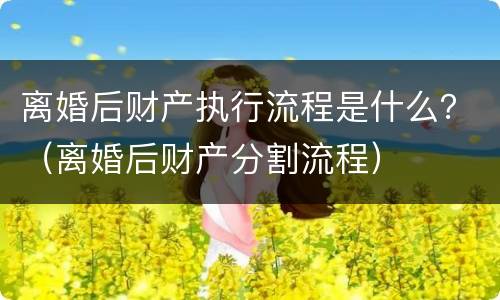 离婚后财产执行流程是什么？（离婚后财产分割流程）