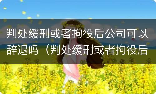 判处缓刑或者拘役后公司可以辞退吗（判处缓刑或者拘役后公司可以辞退吗知乎）
