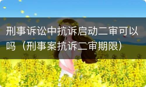 刑事诉讼中抗诉启动二审可以吗（刑事案抗诉二审期限）