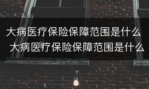大病医疗保险保障范围是什么 大病医疗保险保障范围是什么意思