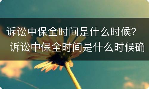 诉讼中保全时间是什么时候？ 诉讼中保全时间是什么时候确定的
