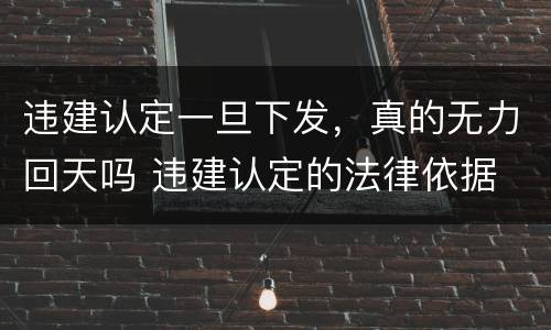 违建认定一旦下发，真的无力回天吗 违建认定的法律依据