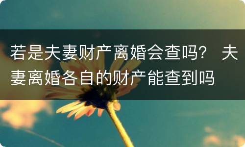 若是夫妻财产离婚会查吗？ 夫妻离婚各自的财产能查到吗