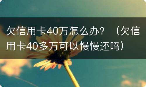 欠信用卡40万怎么办？（欠信用卡40多万可以慢慢还吗）