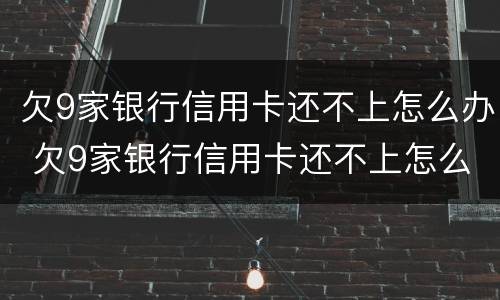 欠9家银行信用卡还不上怎么办 欠9家银行信用卡还不上怎么办呢