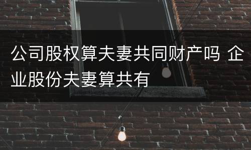 公司股权算夫妻共同财产吗 企业股份夫妻算共有