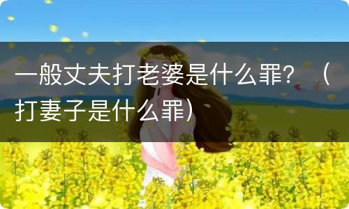 一般丈夫打老婆是什么罪？（打妻子是什么罪）