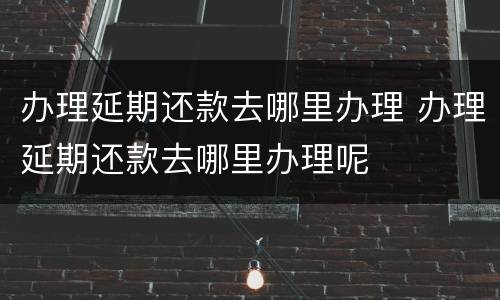办理延期还款去哪里办理 办理延期还款去哪里办理呢