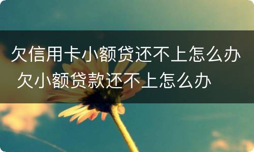 欠信用卡小额贷还不上怎么办 欠小额贷款还不上怎么办