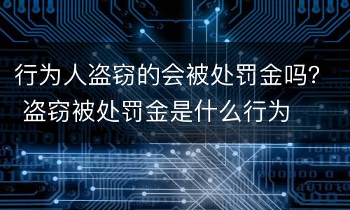 行为人盗窃的会被处罚金吗？ 盗窃被处罚金是什么行为